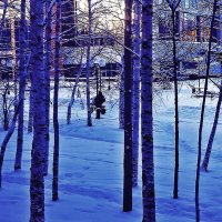 Морозное утро декабря...Юный велогонщик! :: Владимир 