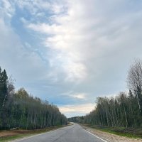 "Дорога, дорога..." :: Olga Oskolkova