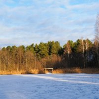 Природа в ожидании Нового года. :: Милешкин Владимир Алексеевич 