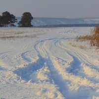 По дорогам зимы. :: nadyasilyuk Вознюк