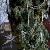 *** :: Валентина Береснева