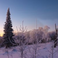 Краски зимнего вечера :: Галина Ильясова