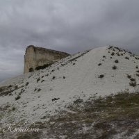 Природа Крыма :: Amazing Cosmea