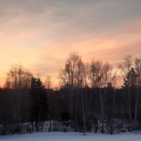 Фото одного дня :: Галина Минчук