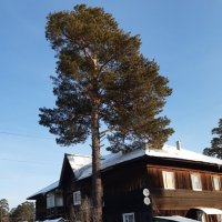 Фото одного дня :: Галина Минчук Фото одного дня :: Галина Минчук