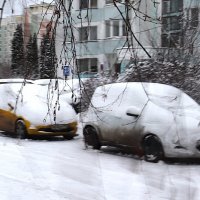 Засыпало... :: Василий Палий