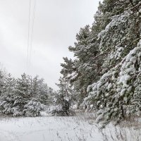 пейзаж :: Владимир 