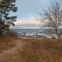 *** :: Геннадий Порохов