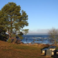 декабрьское море :: ИННА ПОРОХОВА