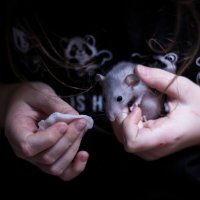 Процедуры, избавляемся от  соплей :: Артём 