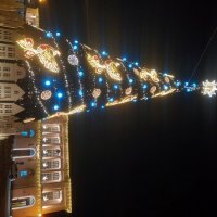 Ёлка :: Сапсан 