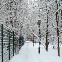 Дорога домой :: Галина 