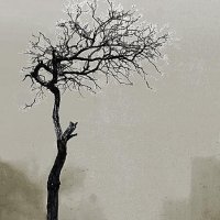 Мемориал "Последней акации" (проект) :: Николай Семёнов Мемориал "Последней акации" (проект) :: Николай Семёнов