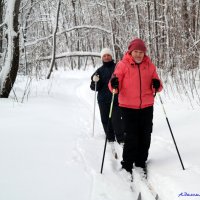 А вы уже встали на лыжи в уходящем году? :-) :: Андрей Заломленков