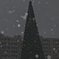 елка :: Giant Tao /