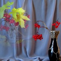 Калина мечтает... :: Галина Кузьмина Калина мечтает... :: Галина Кузьмина