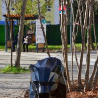 В новом сквере :: Александр Рыжов