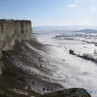 Природа Крыма :: Amazing Cosmea