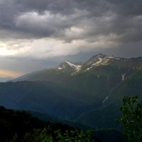 КРАСНАЯ ПОЛЯНА СОЧИ :: Tata Wolf