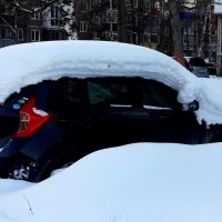 Подснежник :: Дмитрий (Горыныч) Симагин