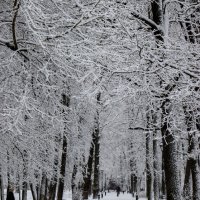 Парк имени А С Пушкина :: Sergei Vikulov