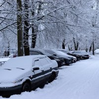Зимнее утро :: Наталья Лунева 