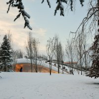 Кроличья нора увидела снег! :: Юрий Полторыхин.