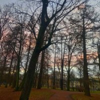 Рассвет :: Сапсан 