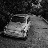 бамблби устал )) :: Ольга Косачова