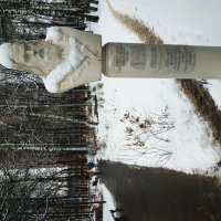 Мед. центр им. Логинова и его не пациенты, но украшение :: Андрей Лукьянов