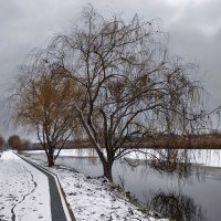 Зимние грёзы у реки :: Валерий Ткаченко