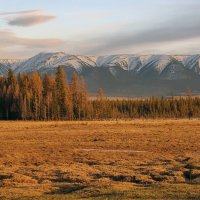 Курай :: елена беликова