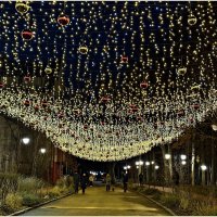 Вечер новогоднего Светлогорска. :: Валерия Комова