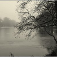 Конец декабря :: Aleksandr Gal