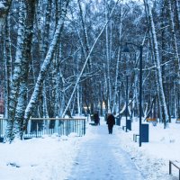 в парке насыпало :: Артём в парке насыпало :: Артём