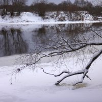 Утро :: Андрей Зайцев