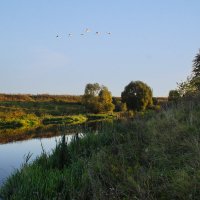 Утро на Дону. :: Александр. AVG100 ---