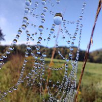 ------------ :: igor G.