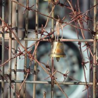 Память :: Павел Трунцев