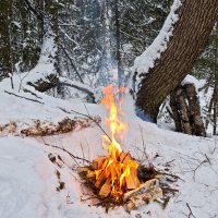 Последний костёр в этом году :: Денис Бочкарёв