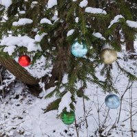 *** :: Денис Бочкарёв