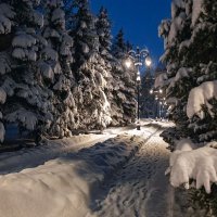 Зимний вечер. :: Сергей Мурзин