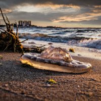 Однажды в Анапе ;-) :: Алексей Пышненко