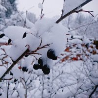 ** :: Сергей Кочнев