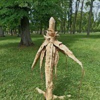 В парке Кадриорг :: Veera V В парке Кадриорг :: Veera V