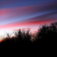 Декабрьское утро :: Людмила Смородинская