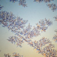 Здравствуй, утро морозное! :: Татьяна Лютаева Здравствуй, утро морозное! :: Татьяна Лютаева