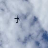 В небе :: Ольга Савельева 