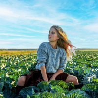 Страда :: Евгений Ермаков