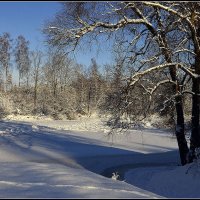 Во всей красе :: Aleksandr Gal